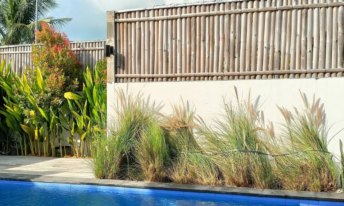 Cemagi Villa | 10-min from beach - 2 Bedroom Pool Villa Casa D'Tristo