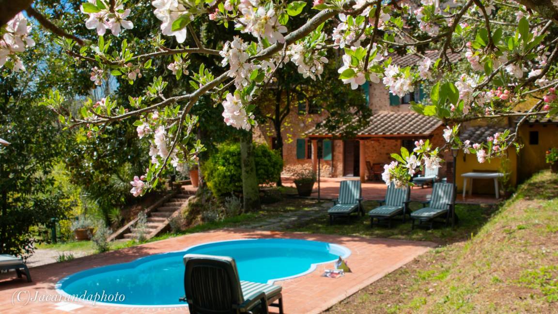 Camaiore Villa | 150 m² Villa ∙ 4 bedrooms ∙ 8 guests