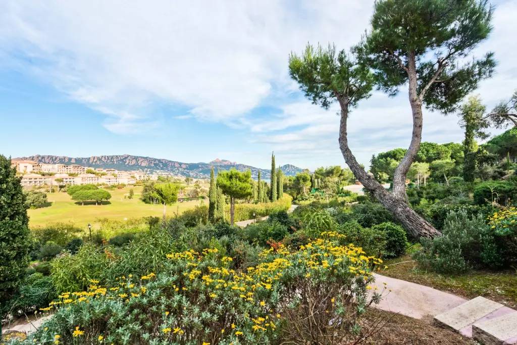 Le Dramont Apartment | 29 m² Apartment ∙ 1 bedroom ∙ 5 guests