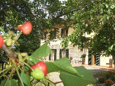 Pomaia Apartment | 70 m² Apartment ∙ 2 bedrooms ∙ 5 guests