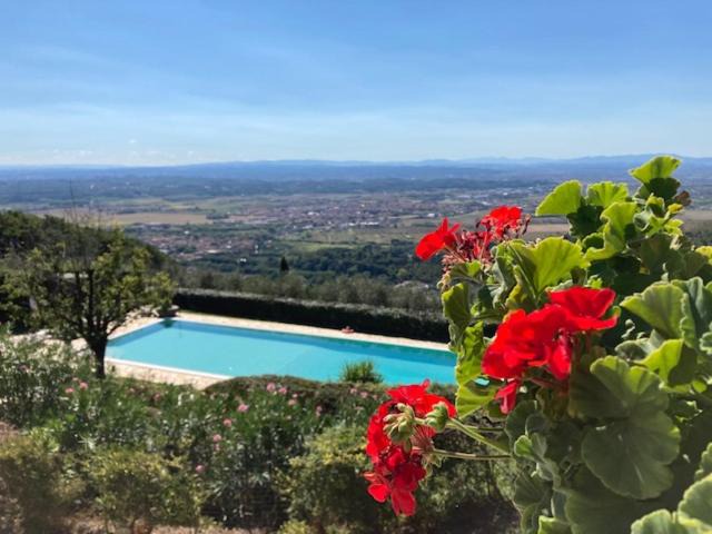 Agriturismo Cima Alla Serra Pisa | Buti
