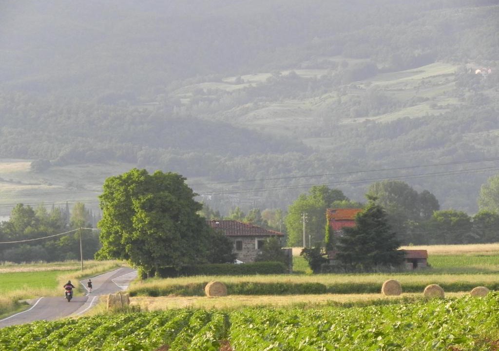 Bibbiena House | Agriturismo Poderi Minori
