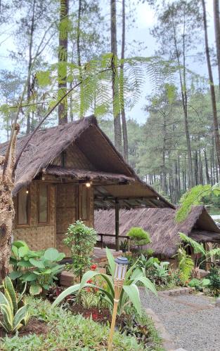 Cikole Cabin | ALAMSUKA Cikole