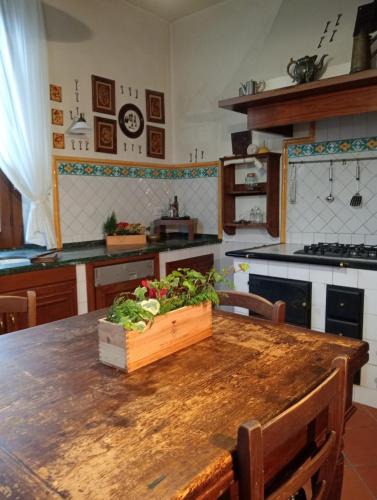 Montecatini Terme Villa | Alina Villa