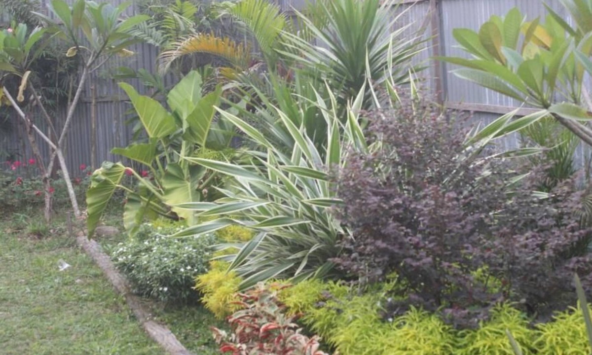 Medan House | Amelia Guest House