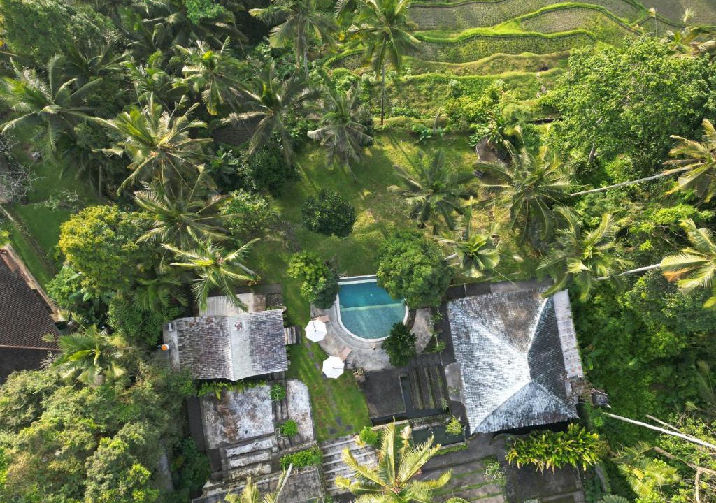 Payangan Resort | Aventus Resort Ubud