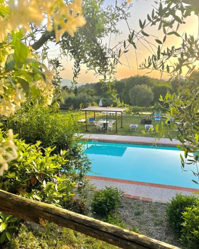 Capannori Bed & Breakfast | B&B Alloro