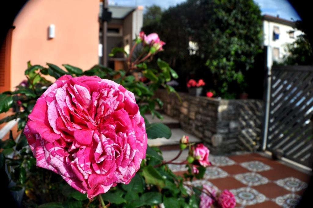 Carrara Bed & Breakfast | B&B Il Vinile