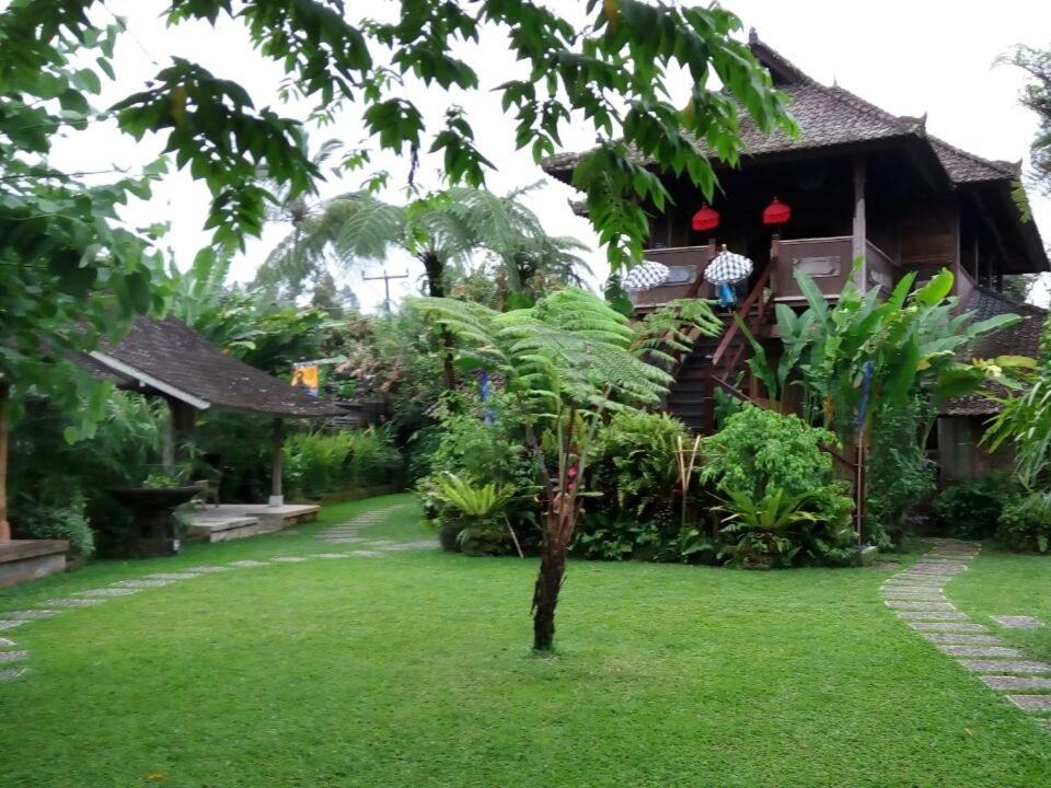 Selemadeg Cabin | Bali Mountain Retreat