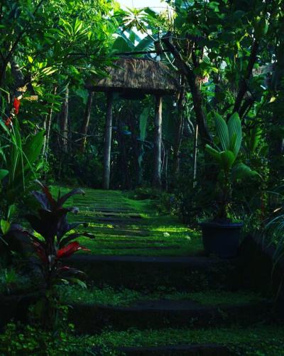 Payangan House | bucu hidden guest house, and meditation center