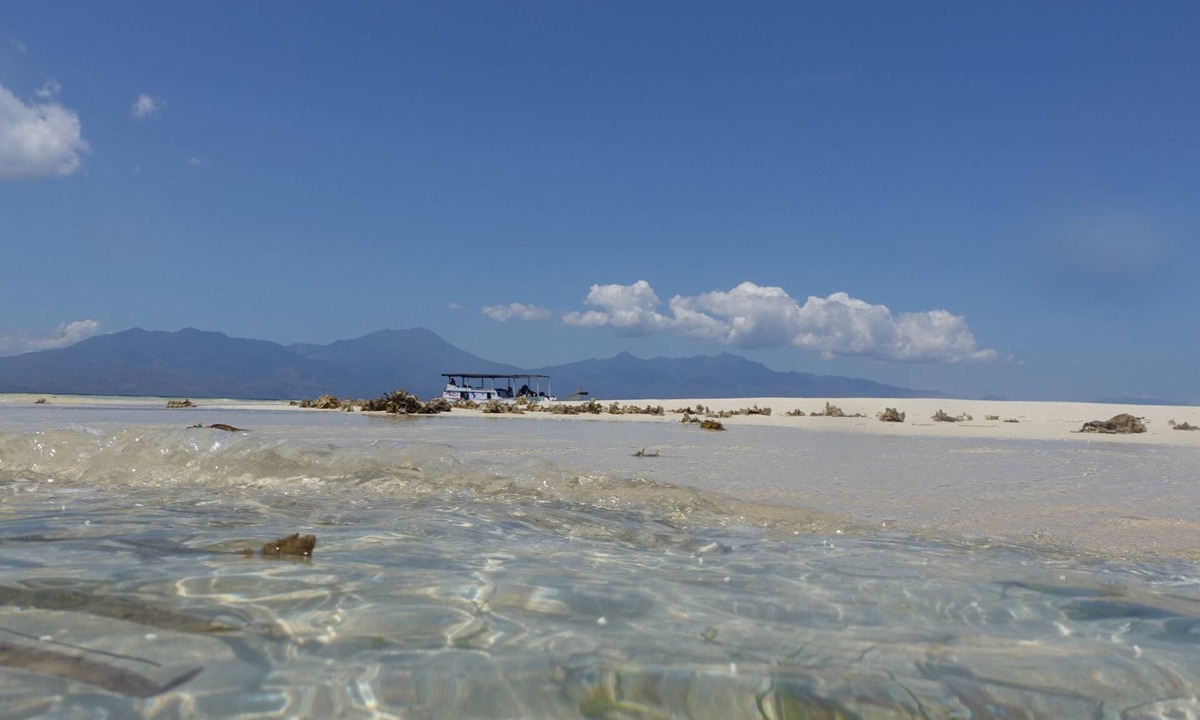 Maumere Bed & Breakfast | Budi Sun Resort