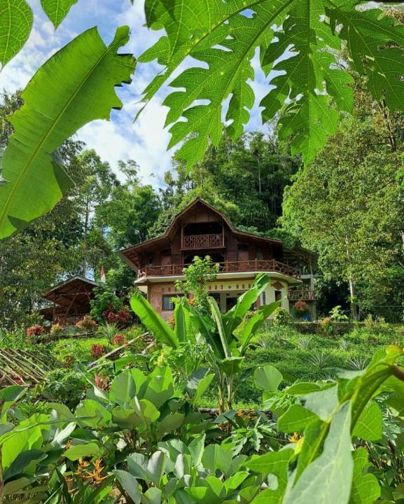 Bohorok House | Bukit Lawang Batu Kapal Rimba House