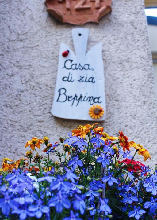 Camaiore House | Casa zia Beppina
