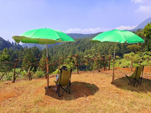 Pasirjambu Other | Ciwidey Jungle Camp & Cabin