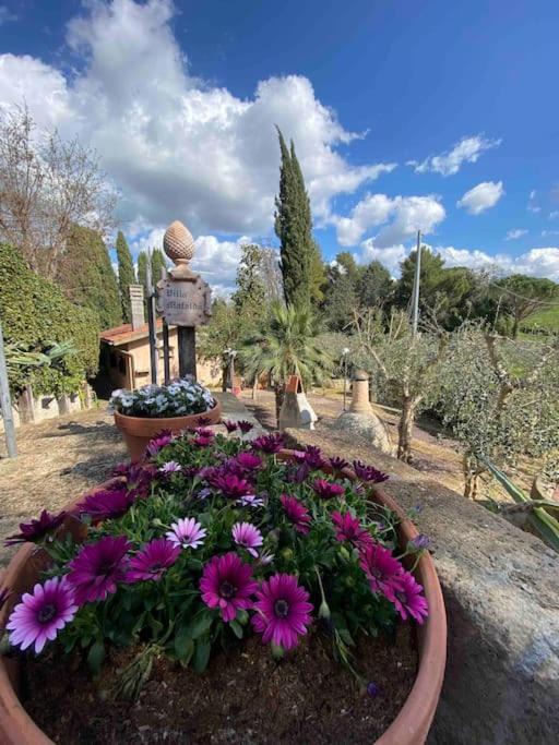 Arcille House | Country house in Maremma Villa Mafalda