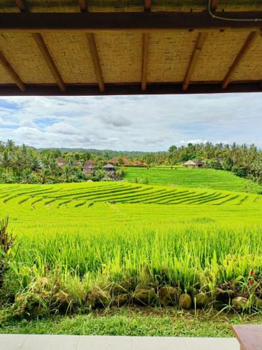 East Selemadeg House | Dewi Nara Guest House By Balitrees
