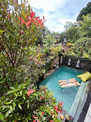 Penestanan Villa | Dharma Shanti Villa - Private Pool - Peaceful Ubud Escape