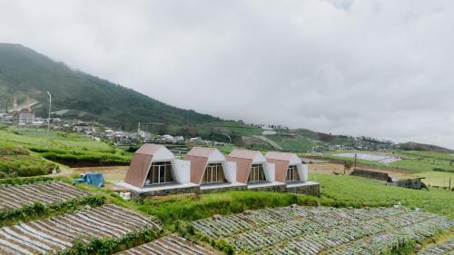 Dieng Kulon Villa | Dieng Khatulistiwa By Travelink