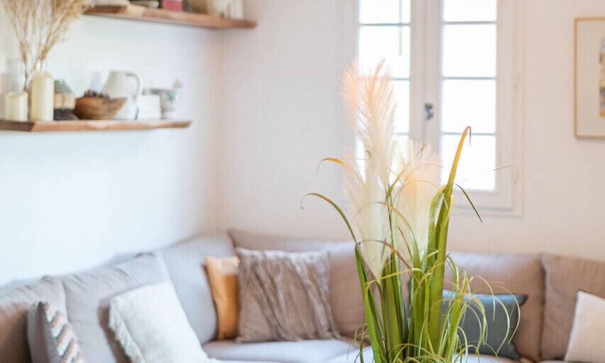 Saint-Tropez Apartment | Elegant 3-bedroom apartment in the center, pool + parking included