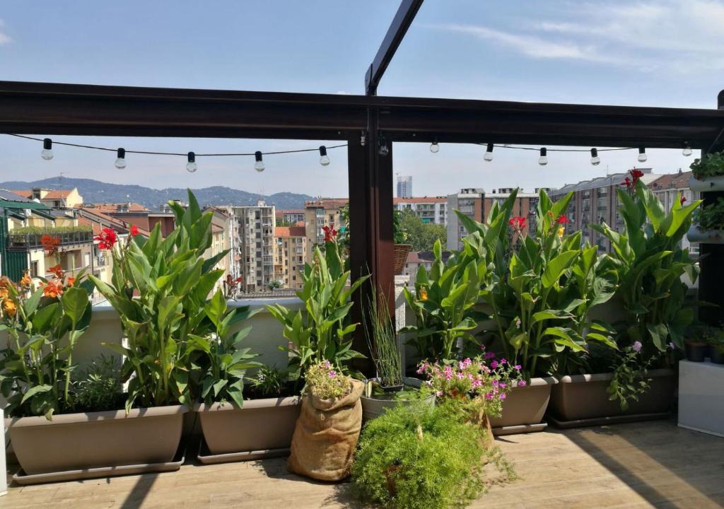 Mirafiori Apartment | Floorplan B - 208