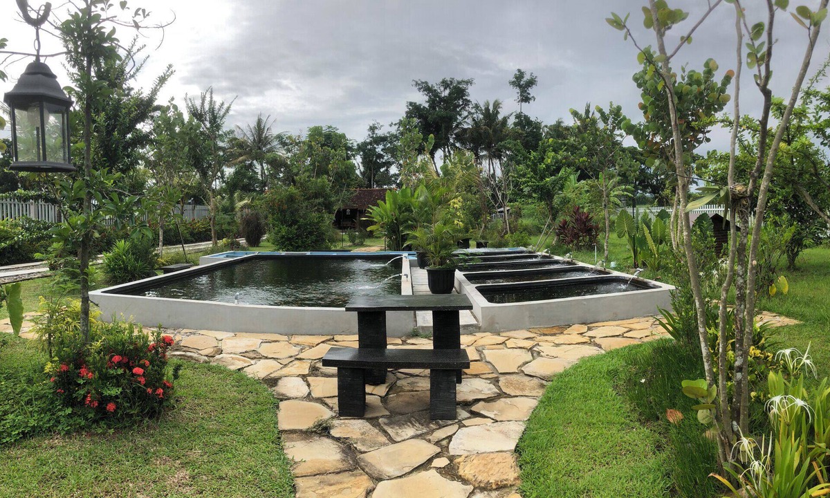 Sleman Hotel | Homestay Omah Embun