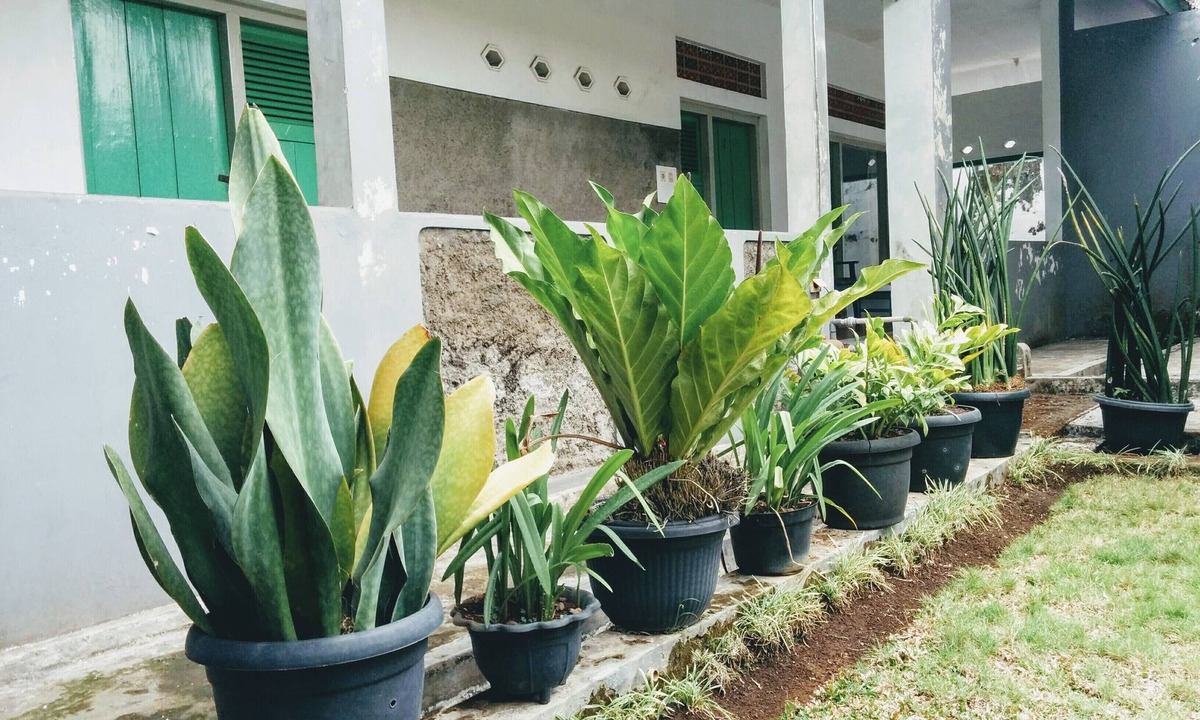 Purwokerto House | Hotel Gunung Slamet