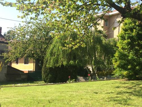 Moncalieri Apartment | I Ciliegi