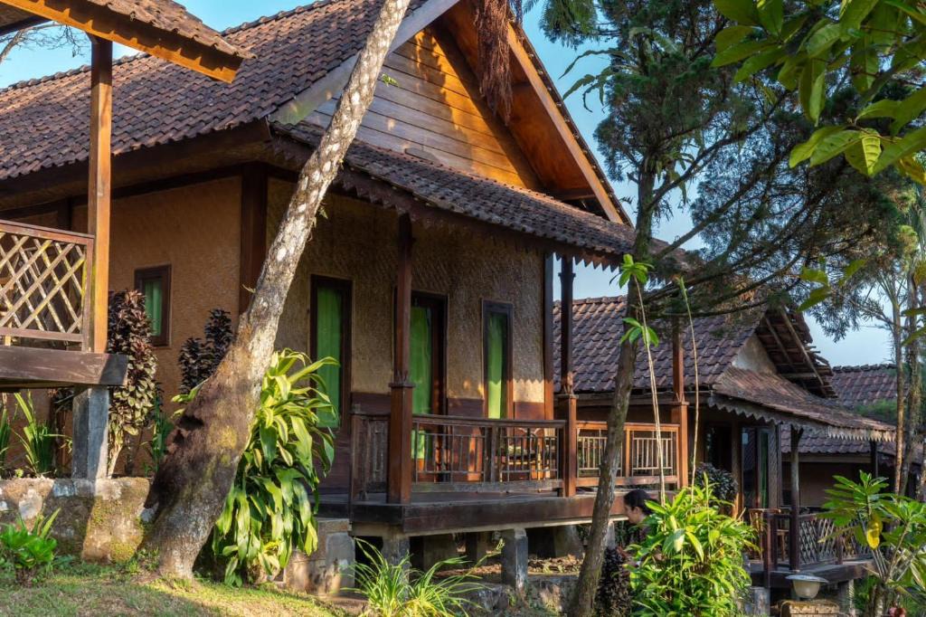 Banyuwangi House | idjen Resto & Guest House deluxe