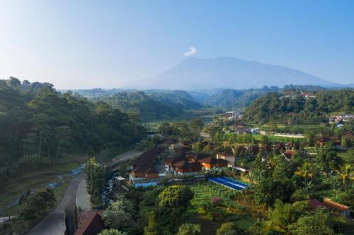 Megamendung Resort | JSI Resort Megamendung