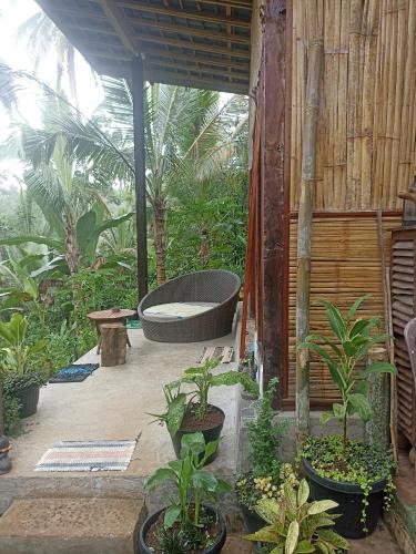 Selemadeg Other | Jungle hous