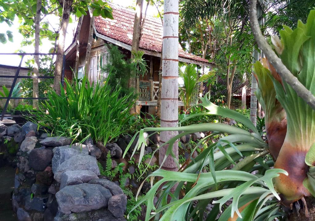 Buleleng House | Kubu Reod