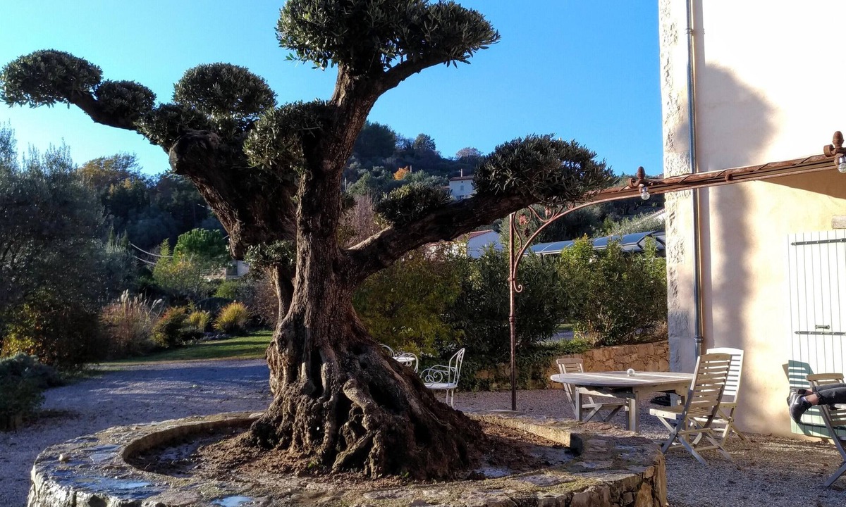 Tourrettes Bed & Breakfast | L'escale Provencale