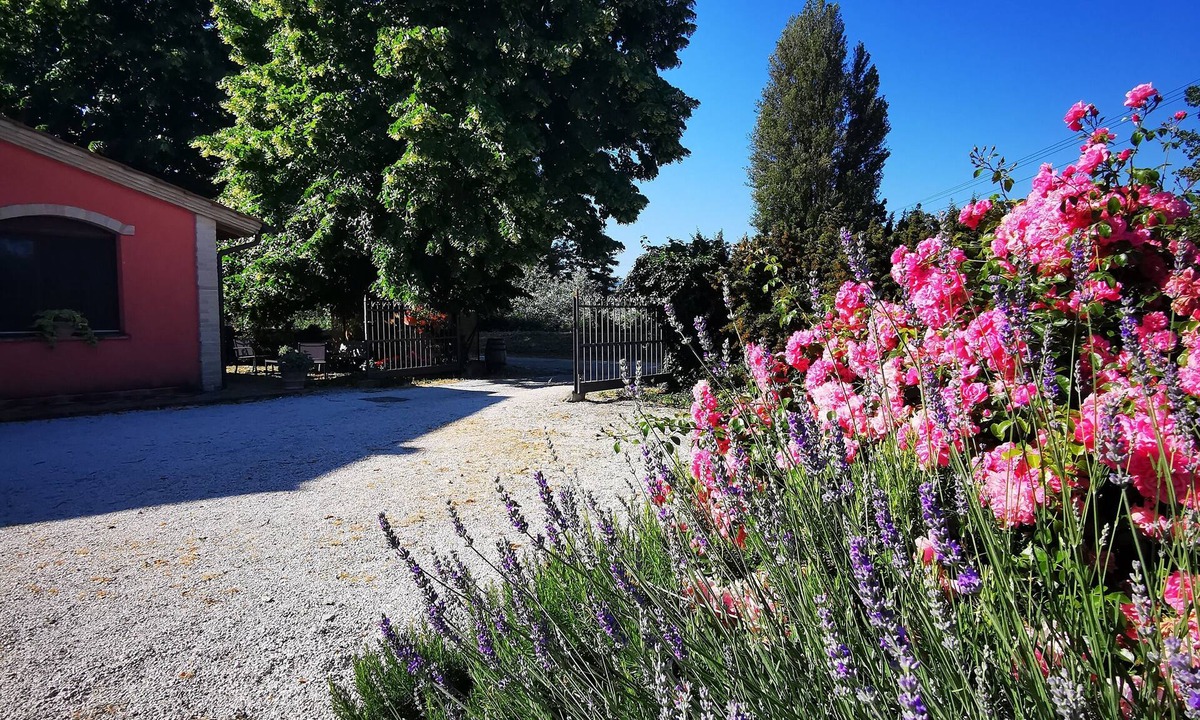 Cannara Bed & Breakfast | La Casa Dei Tigli