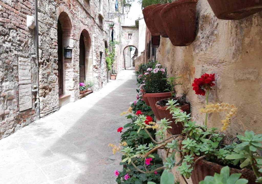 Colle di Val d'Elsa Apartment | La Casa del Fotografo