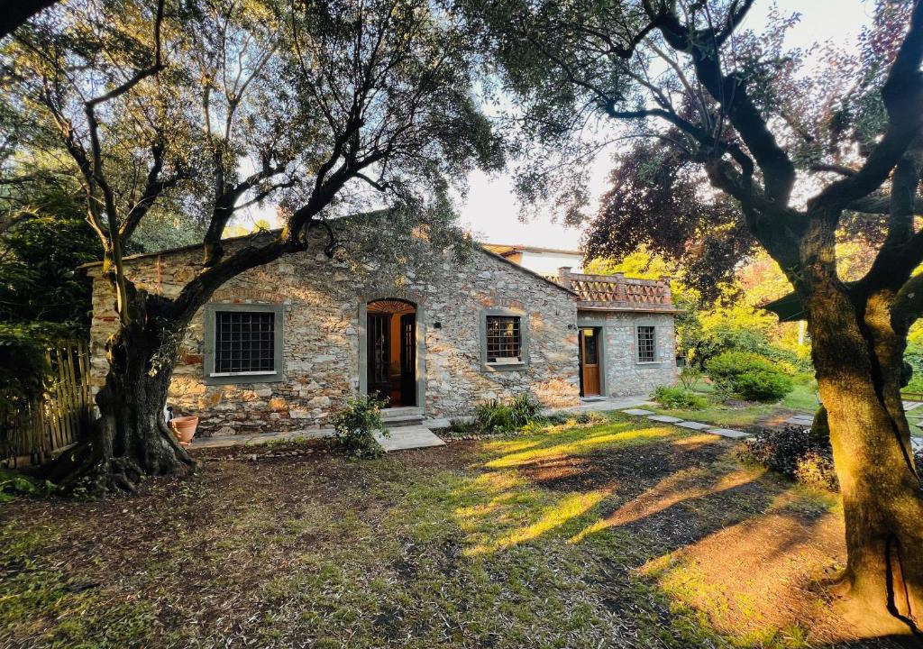Querceta House | La Casina di Susy