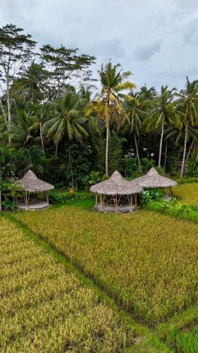 Cijulang Hotel | Mahati
