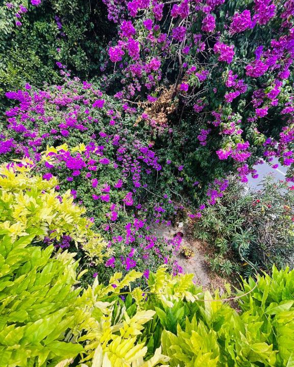 Grasse House | Maison parfumeur Grasse
