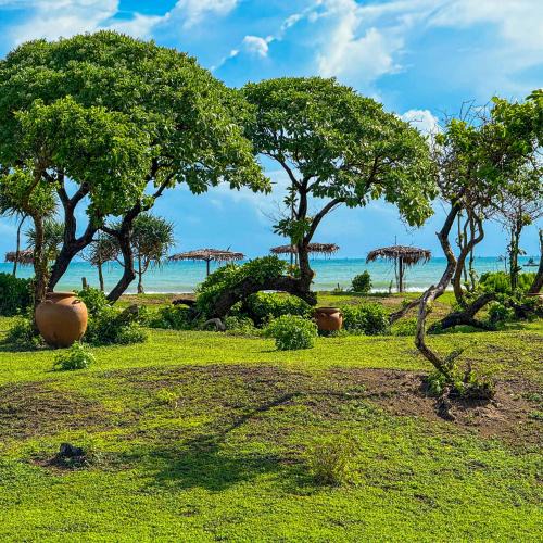 Malingping Hotel | MareCoves Resort & Glamping