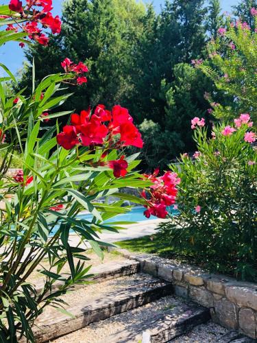 Fayence Bed & Breakfast | Mas Lou Piastoun