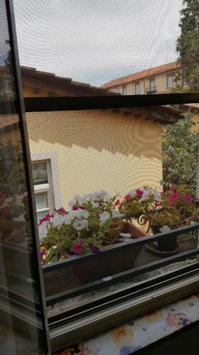 Lucca Historical Center House | Mavi's bedrooms