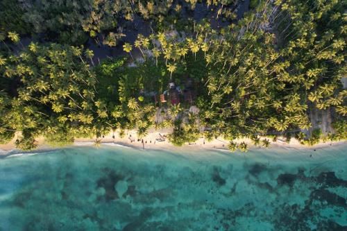 Mentawai Islands Other | Mentawai Tribe Experience Camp & Private Beach