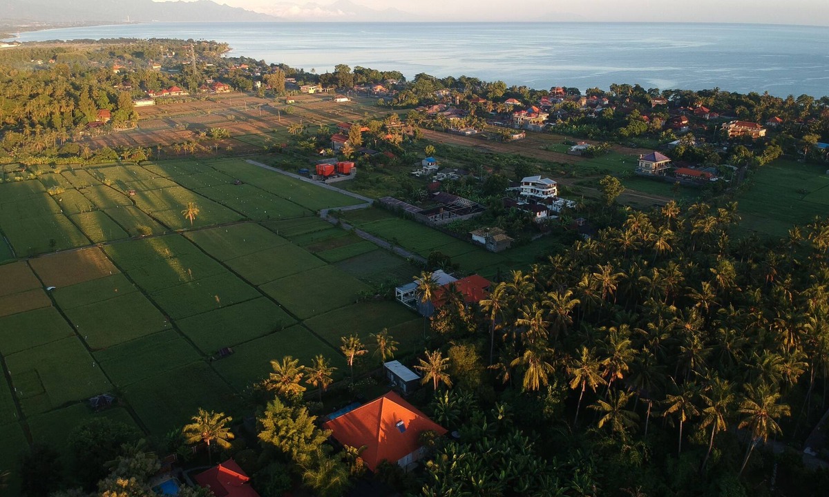 Lovina House | Mimosa, Luxury Private Villa