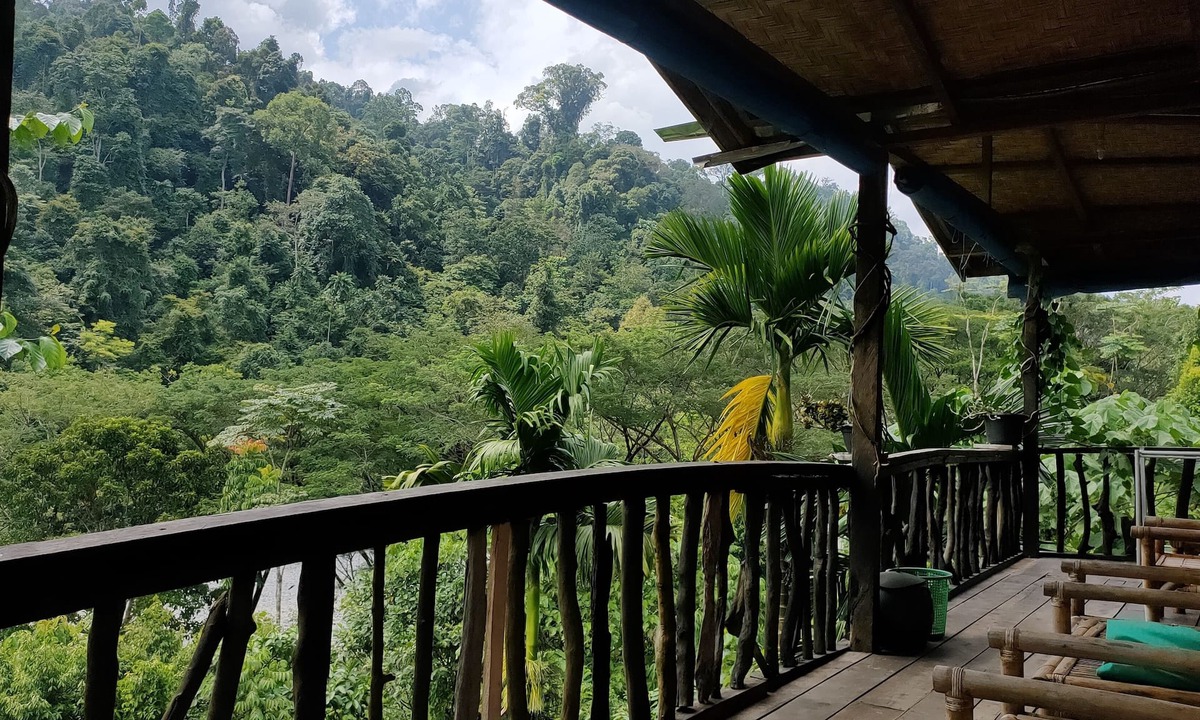 Batang Serangan House | Mountain View Cottages & Villa Tangkahan