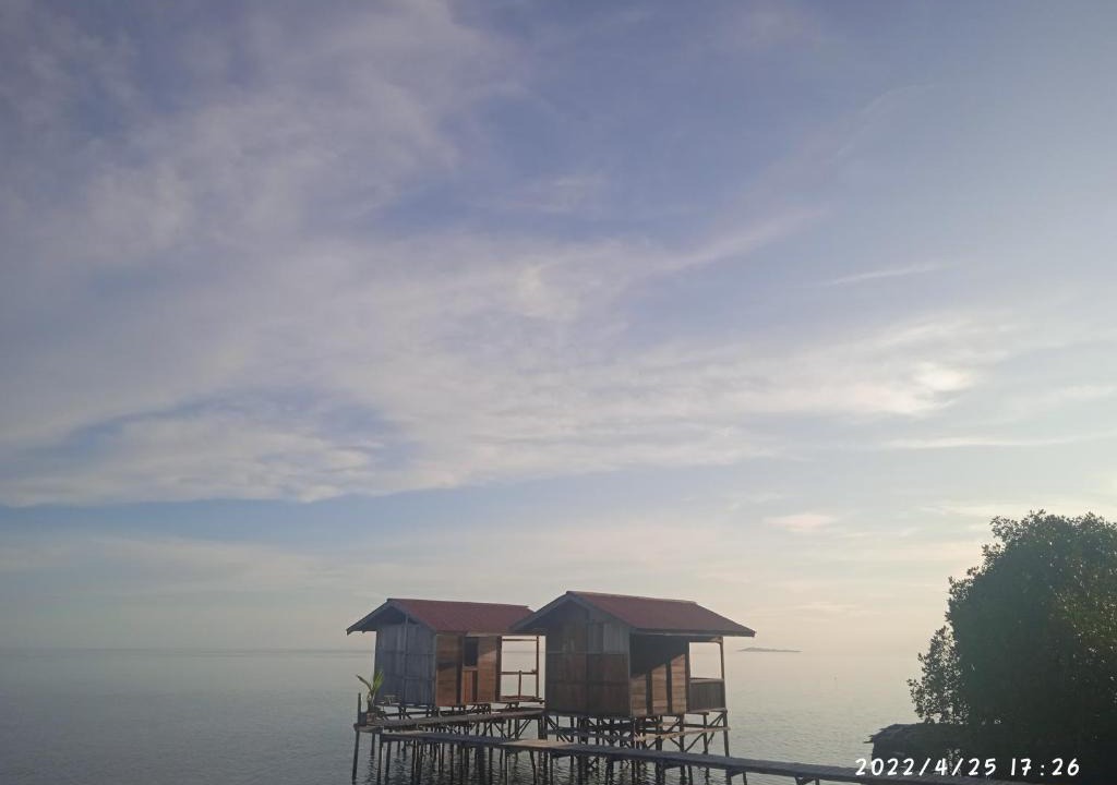Arborek House | Raja ampat Nemo Homestay