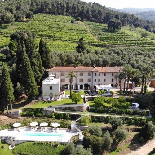 Montignoso Bed & Breakfast | Relais Montepepe Winery & Spa
