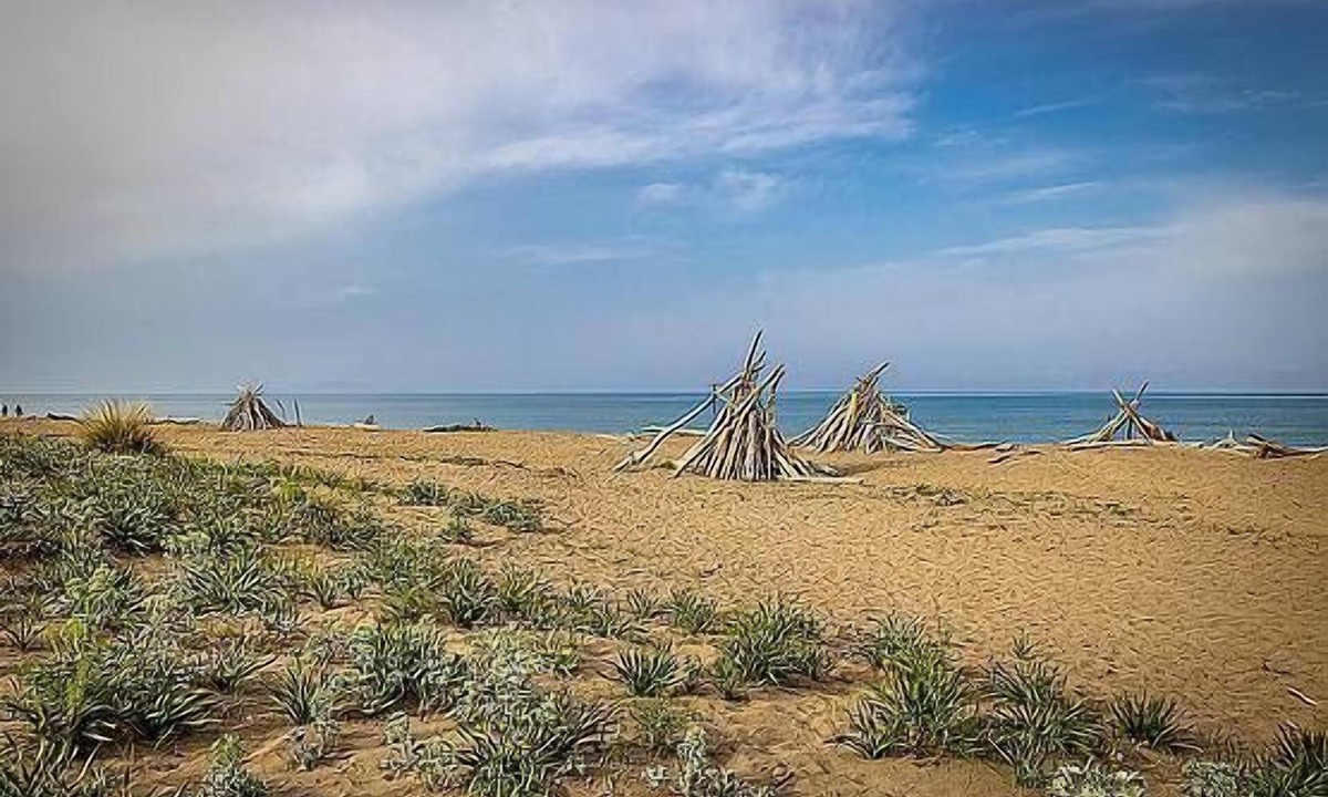 Principina a Mare Apartment | Residence Mare Blu three-room apartment Trilo for 5 people