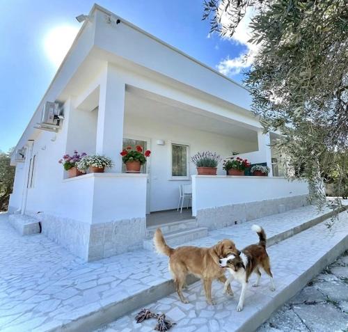 Defensola House | Residenza Villa Terry