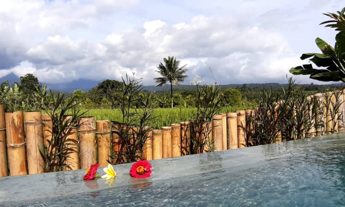 Banjartegehe House | Room in Villa - The Champuhan Villa - Honeymoon Villa With Rice Field View