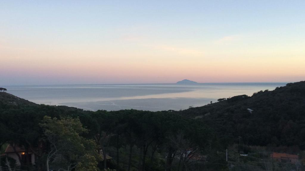 Rosa Venti | Campo nell'Elba