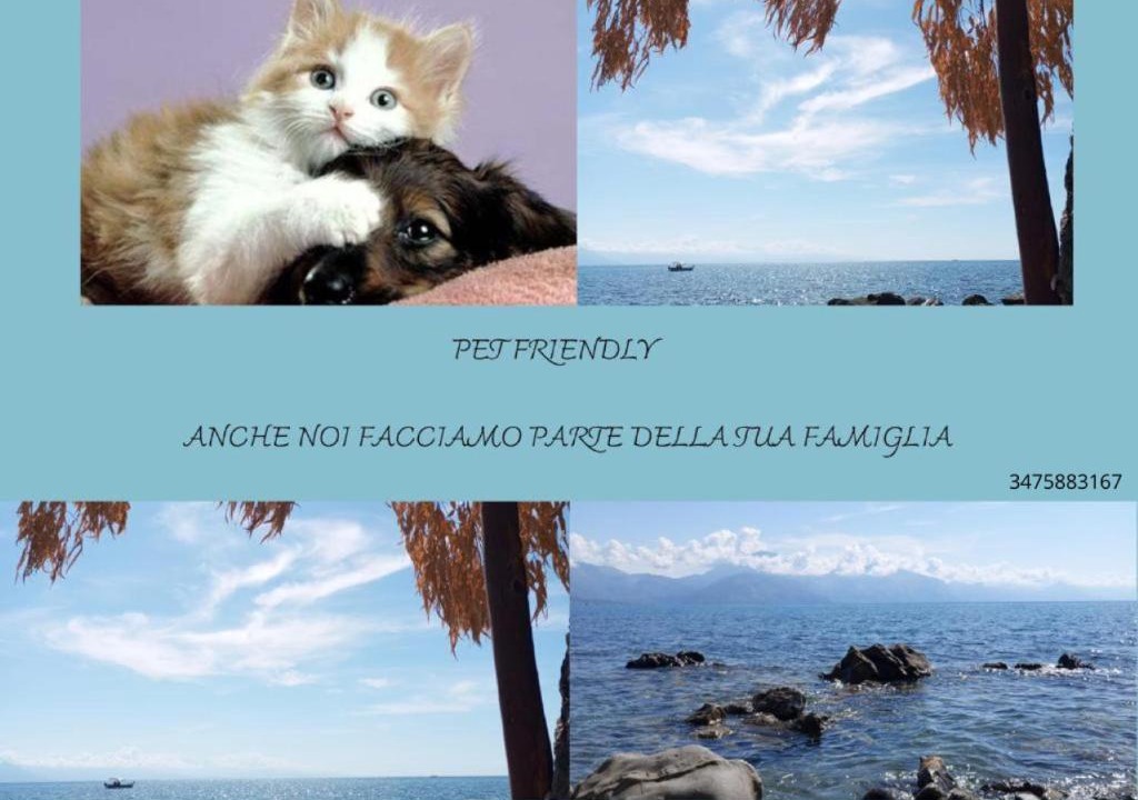 Scario Apartment | Scario house